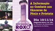 Imagem Sessão comemora primeiro ano da Lei Novembro Roxo