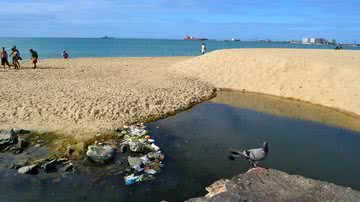 Imagem Confira as praias impróprias para o banho em Salvador