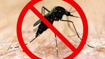 Imagem Prefeitura de Salvador realiza mobilização contra dengue em Pau da Lima