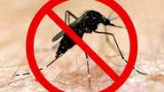 Imagem Prefeitura de Salvador realiza mobilização contra dengue em Pau da Lima