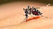 Imagem Bahia tem aumento de 60% em casos de dengue