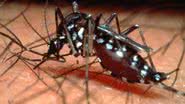 Imagem Ação mobiliza comunidade de Cajazeiras X no combate a dengue