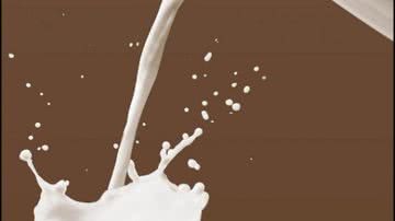 Imagem MP denuncia mais um grupo suspeito de adulteração de leite