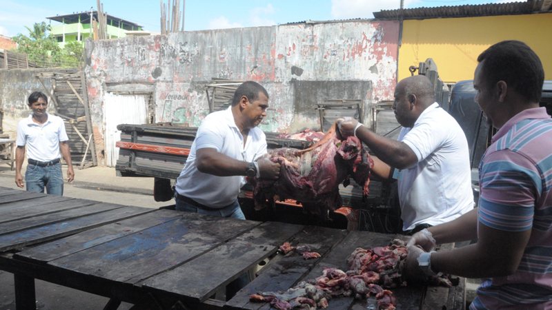 Imagem Itabuna: Vigilância Sanitária apreende 250kg de carne estragada