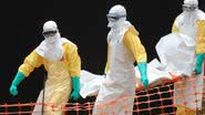 Imagem Ministro da Saúde diz que brasileiros não devem temer vírus ebola