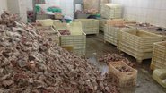 Imagem 30 toneladas de carne estragada são apreendidas em frigorífico clandestino