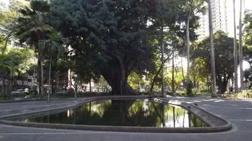 Imagem Família de estudante assassinado no Campo Grande fará protesto