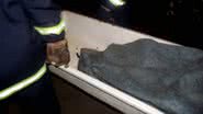 Imagem Menino de dois anos morre carbonizado em Itabuna