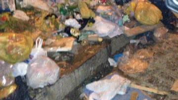 Imagem Salvador 'cidade do lixo': internauta registra imundície no Centro