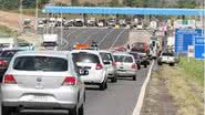 Imagem Elevado de concreto permite a travessia de pedestres e veículos na BA-099