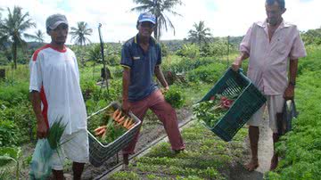 Imagem Agricultores do Nordeste poderão ter dívidas anistiadas