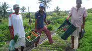 Imagem Agricultores do Nordeste poderão ter dívidas anistiadas