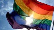 Imagem Sob polêmica, criação do Conselho LGBT será votada nesta terça-feira (28)