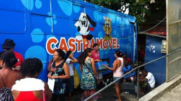 Imagem Castramóvel realiza operações gratuitas em Cosme de Farias
