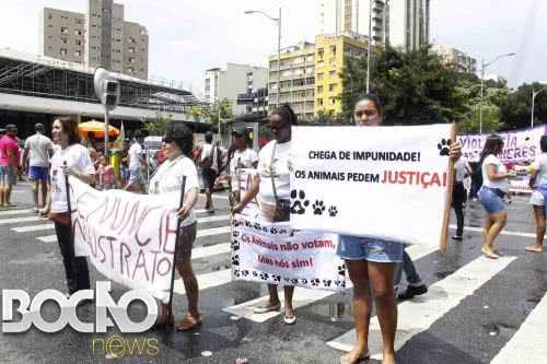 Imagem Excluídos somem do Grito no 7 de setembro