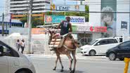 Imagem Homem trafega com cavalo pela rua 'numa boa' na Pituba