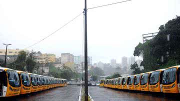 Imagem Passageiros do STEC recebem 66 novos veículos