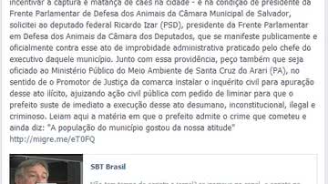 Imagem Cães são brutalmente mortos e políticos pedem punição. Veja vídeo
