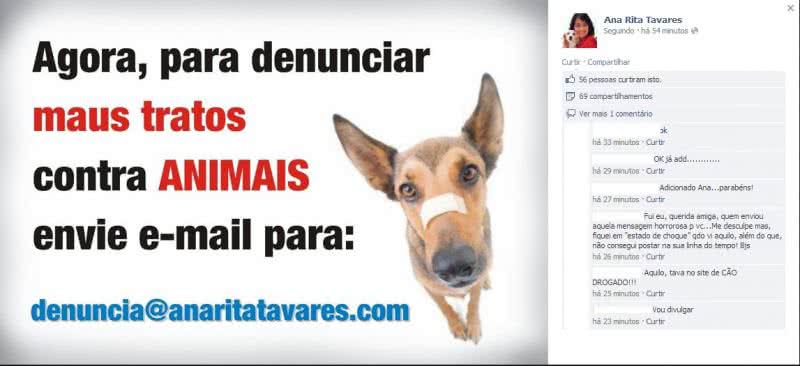 Imagem Ana Rita Tavares cria email para denúncias