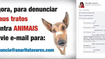 Imagem Ana Rita Tavares cria email para denúncias