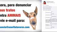 Imagem Ana Rita Tavares cria email para denúncias