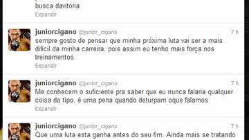 Imagem Cigano detona: "nunca diria que uma luta está ganha antes do seu fim"