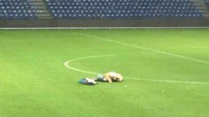 Imagem Casal é flagrado fazendo sexo no meio de campo de futebol