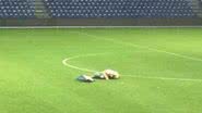 Imagem Casal é flagrado fazendo sexo no meio de campo de futebol