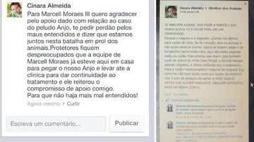 Imagem Mulher acusa Marcell Moraes de roubar cachorro. Edil se defende: oportunista