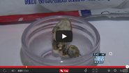 Imagem Vídeo: mulher encontra cabeça de cobra em pacote de vagem