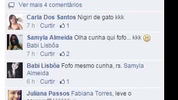 Imagem Sushi Bahia usa gato em propaganda e irrita seguidores de rede social
