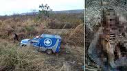 Imagem Trabalhador rural encontra ossada humana às margens da BR-135 