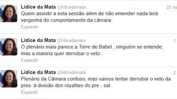 Imagem "Plenário mais parece a Torre de Babel", dispara Lídice da Mata