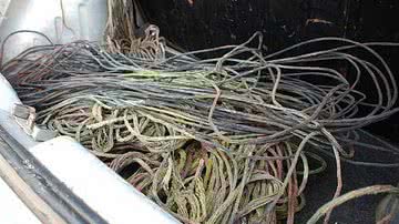 Imagem Roubo do fios provoca prejuízo de R$ 130 mil em 2012