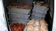 Imagem Polícia Federal apreende 600 kg de frango em Eunápolis