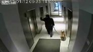 Imagem Homem se descuida e cão fica preso do lado de fora de elevador
