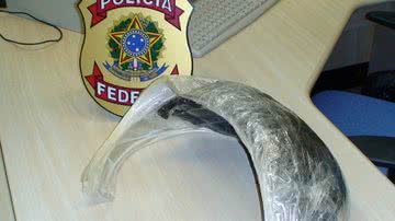 Imagem Falsa grávida é presa com 2 kg de cocaína camuflada em barriga