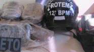 Imagem Policiais apreendem nove quilos de maconha em Camaçari
