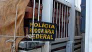 Imagem Madeira nativa é apreendida nas BRs 101 e 242 