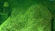 Imagem Clima continua quente no BBB 12
