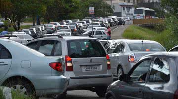 Imagem Árvore cai na Garibaldi e fecha as duas pistas