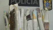 Imagem Traficante é preso em Jacobina