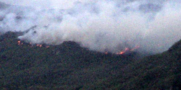 Imagem Secretário de Mucugê garante que fogo está amenizado