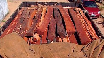 Imagem Carga ilegal de madeira é apreendida em Barreiras