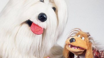 Imagem TV Colosso vai voltar como musical