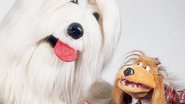 Imagem TV Colosso vai voltar como musical