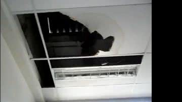 Imagem Forro de teto de Campus da UFRB em Amargosa desaba