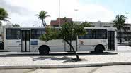 Imagem Jovem é atropelado por ônibus próximo a Sede de Praia do Bahia