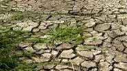 Imagem Seca na Bahia deixa 72 cidades em estado de emergência