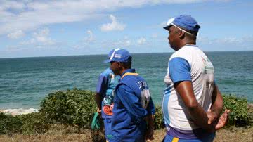 Imagem Começa operação para retirar baleia da praia